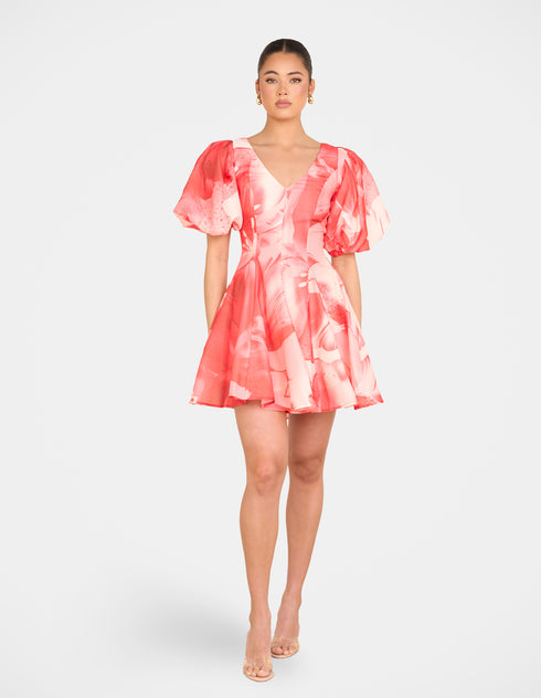 Tiffany Puff Sleeve Mini Dress